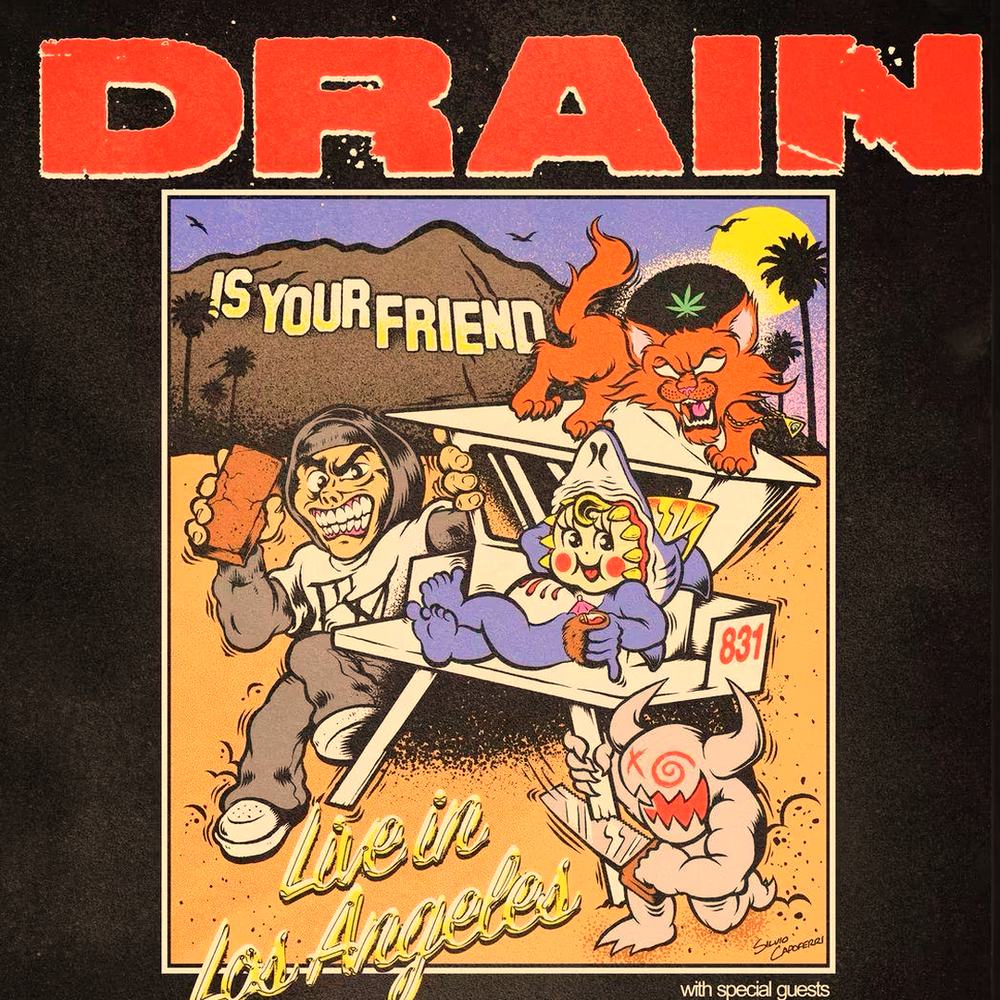 DRAIN/JOEY VALENCE AND BRAE AT THE SHRINE, L.A. 2-6-2027 SETLIST PLAYLIST