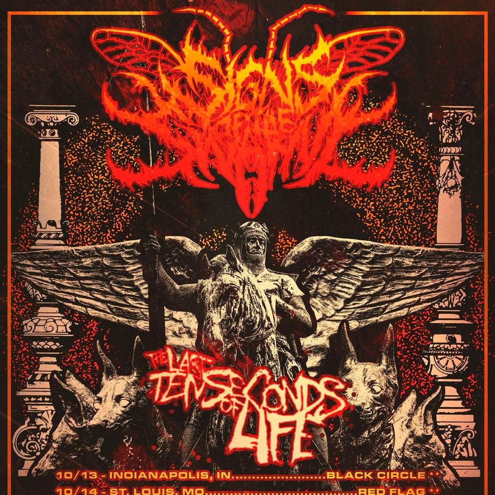 Signs of the Swarm with The Last Ten Seconds of Life